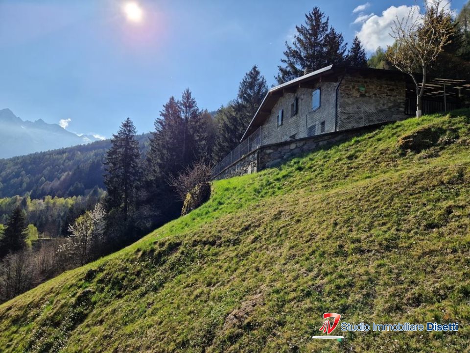 immagine annuncio 2 di 3